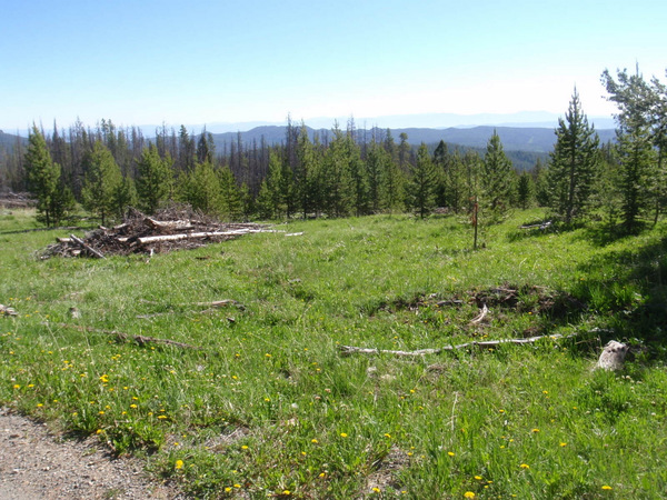 Looking North over our left shoulder.